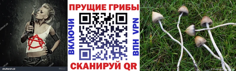 Галлюциногенные грибы Cubensis  цена наркотик  Тверь 